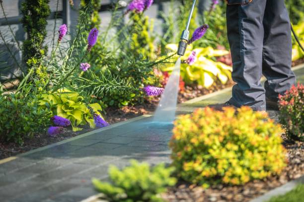 Professional Pressure Washing Services in Tonka Bay, MN